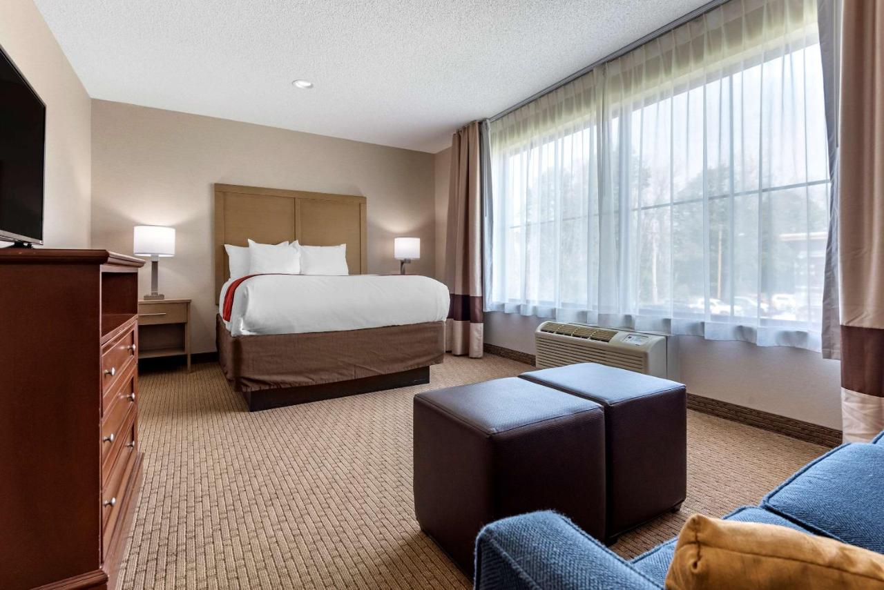 | Comfort Inn & Suites Farmington - Victor
