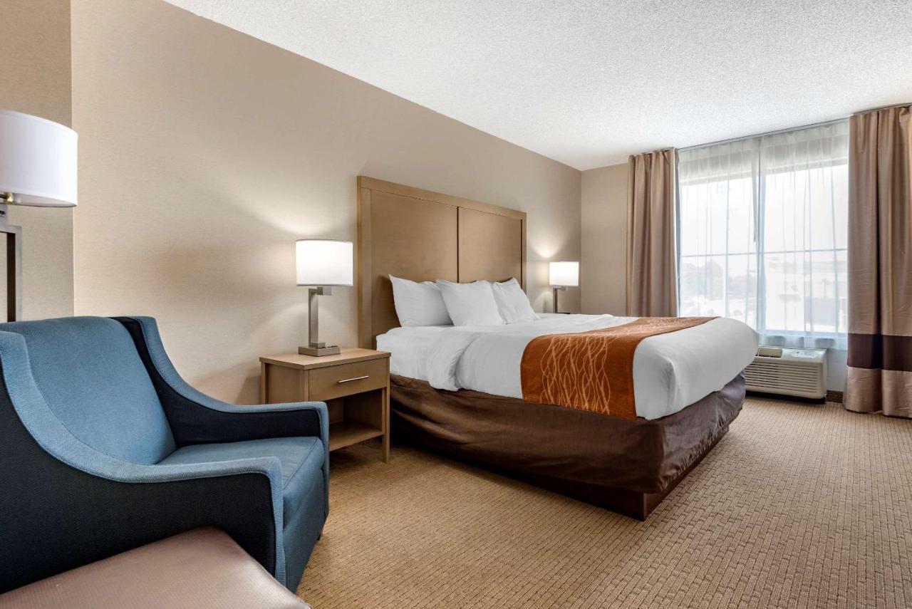 | Comfort Inn & Suites Farmington - Victor