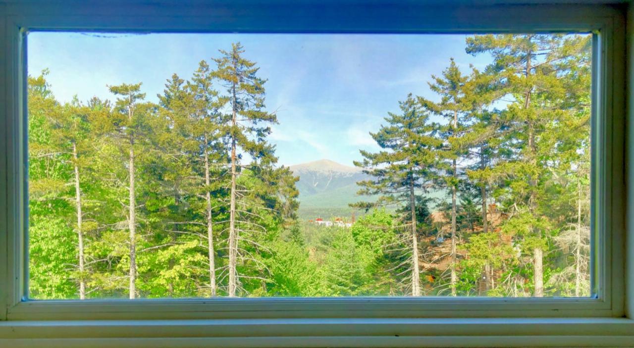 | R7 Ski-in Ski-out Bretton Woods Townhome on 2-mile home trail Mt Washington views