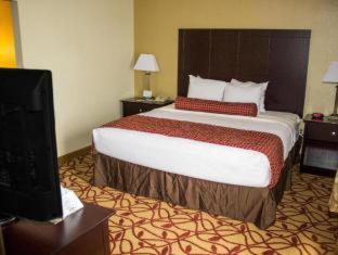 Room #42464045 at Best Western Park Hotel