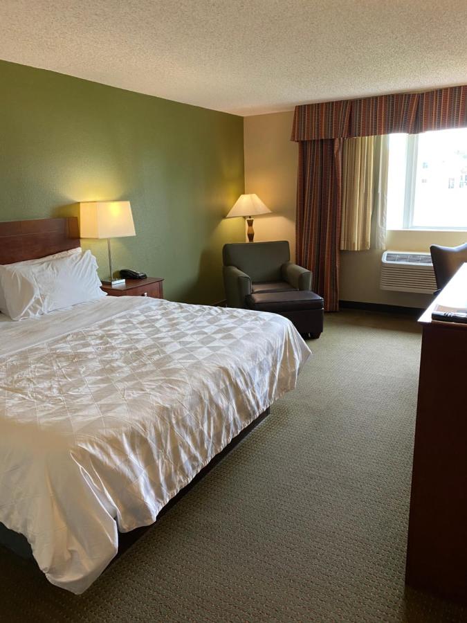 King Room at DoubleTree by Hilton Austin, MN