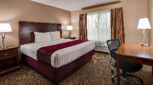 Room #53054351 at Best Western Plus Grapevine Inn