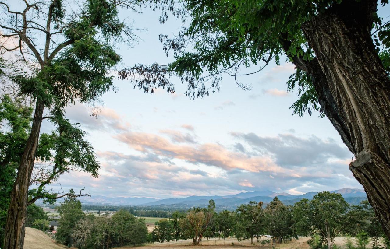 | Hummingbird Estate