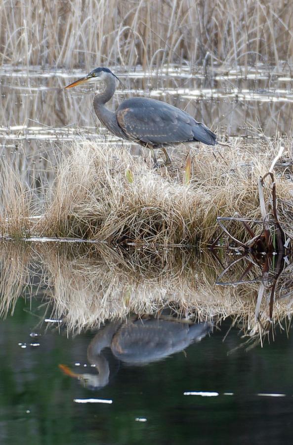  | Otter's Pond Bed and Breakfast