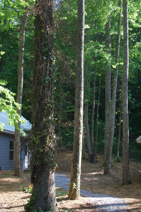 | Villas at Gingershack Farms