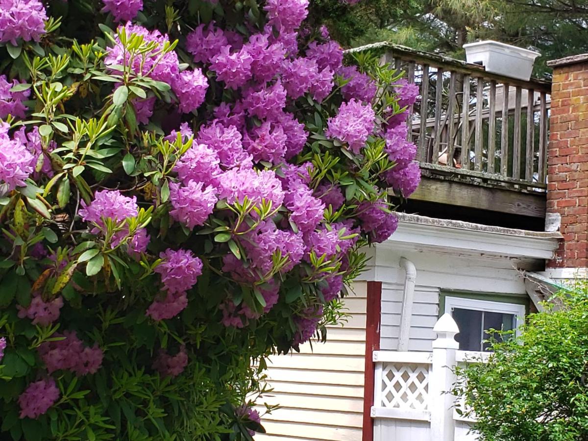 | Arbor View House Bed and Breakfast