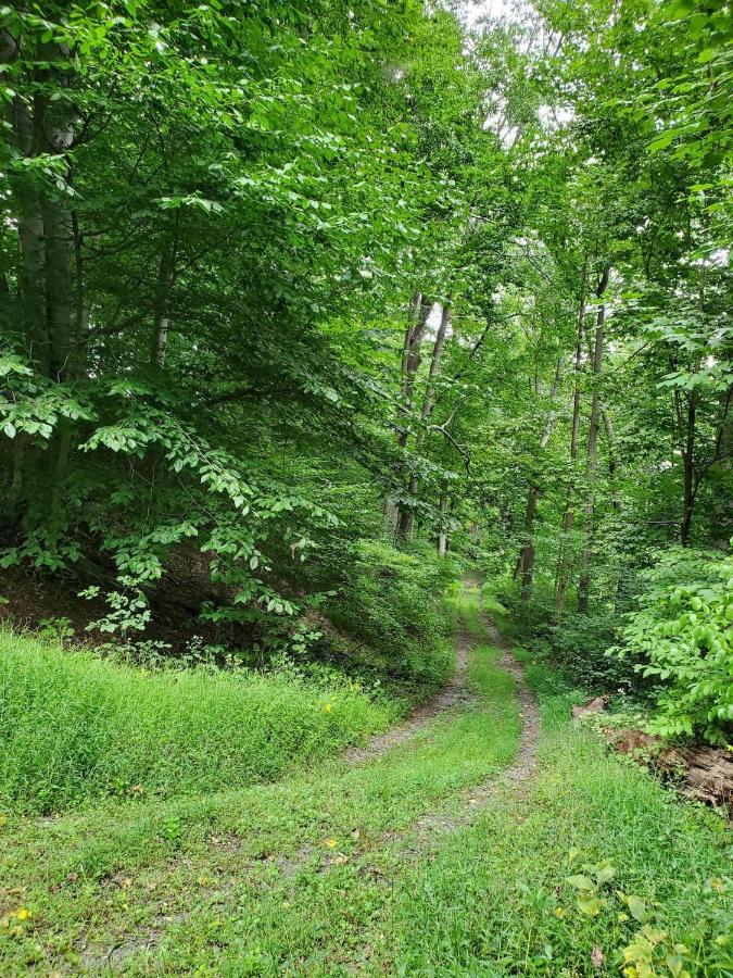 Four-Bedroom House at Glenwood Inn - Stroudsburg