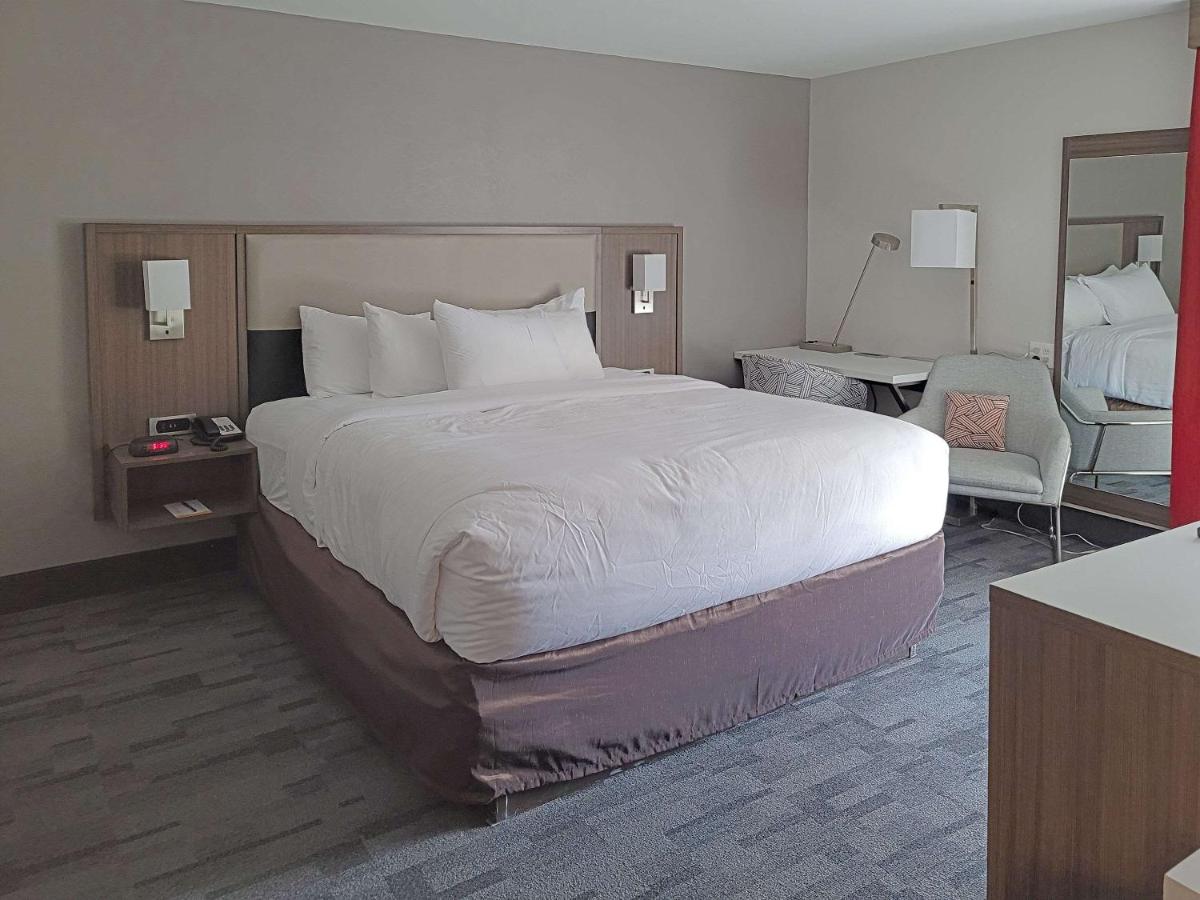 King Suite - Non Smoking at Comfort Inn & Suites Wyomissing/Reading