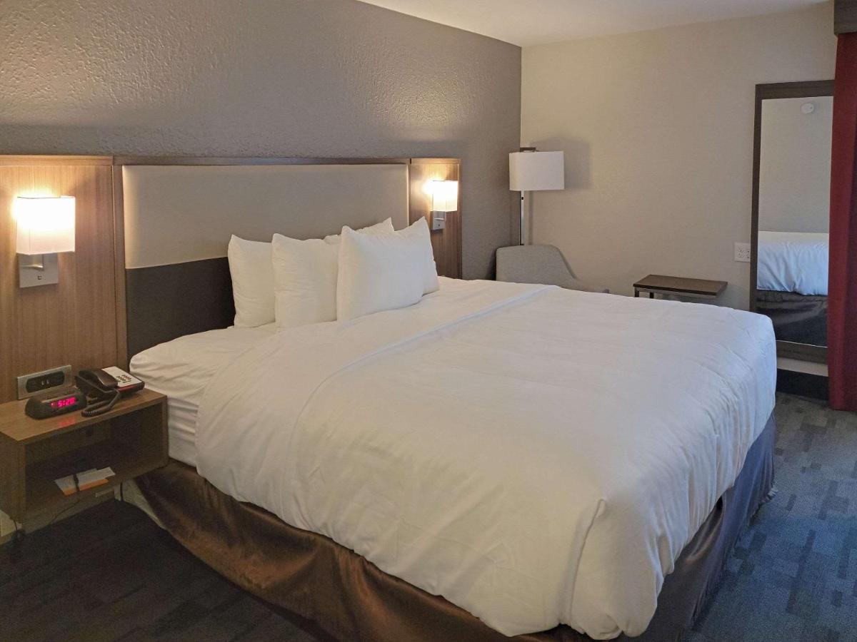 Standard King Room - Non-Smoking at Comfort Inn & Suites Wyomissing/Reading
