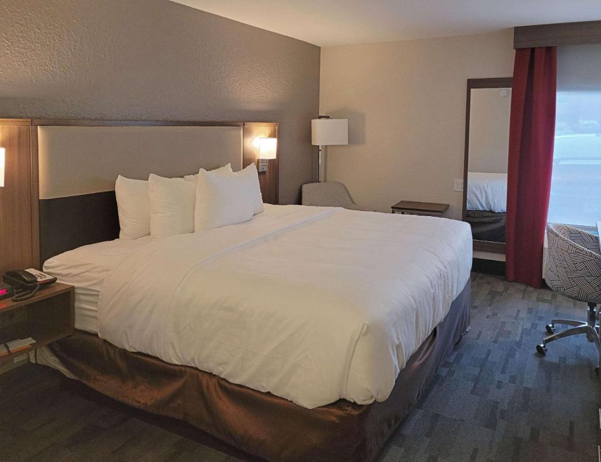 Standard King Room - Non-Smoking at Comfort Inn & Suites Wyomissing/Reading