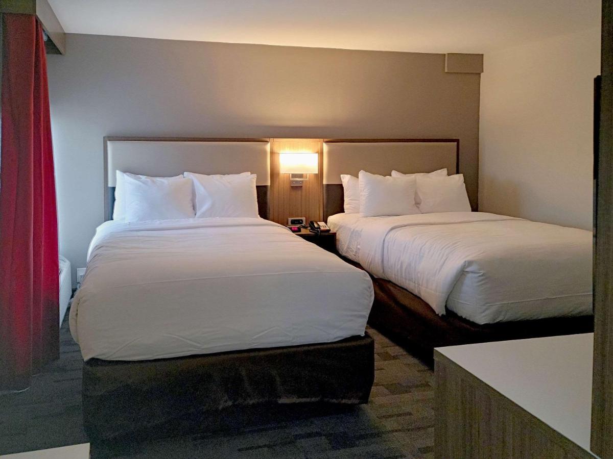 Queen Suite with Two Queen Beds - Non Smoking at Comfort Inn & Suites Wyomissing/Reading
