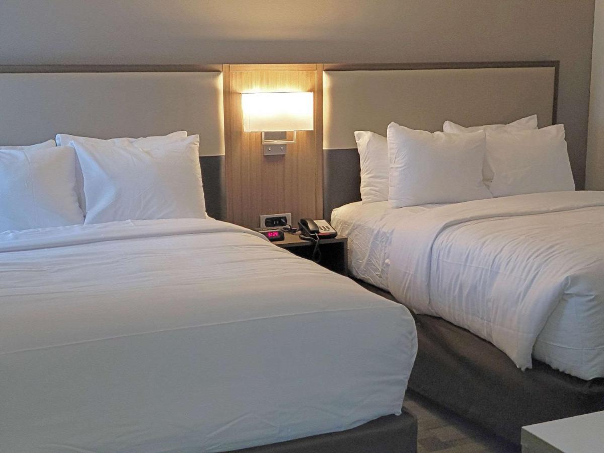 Queen Suite with Two Queen Beds - Non Smoking at Comfort Inn & Suites Wyomissing/Reading