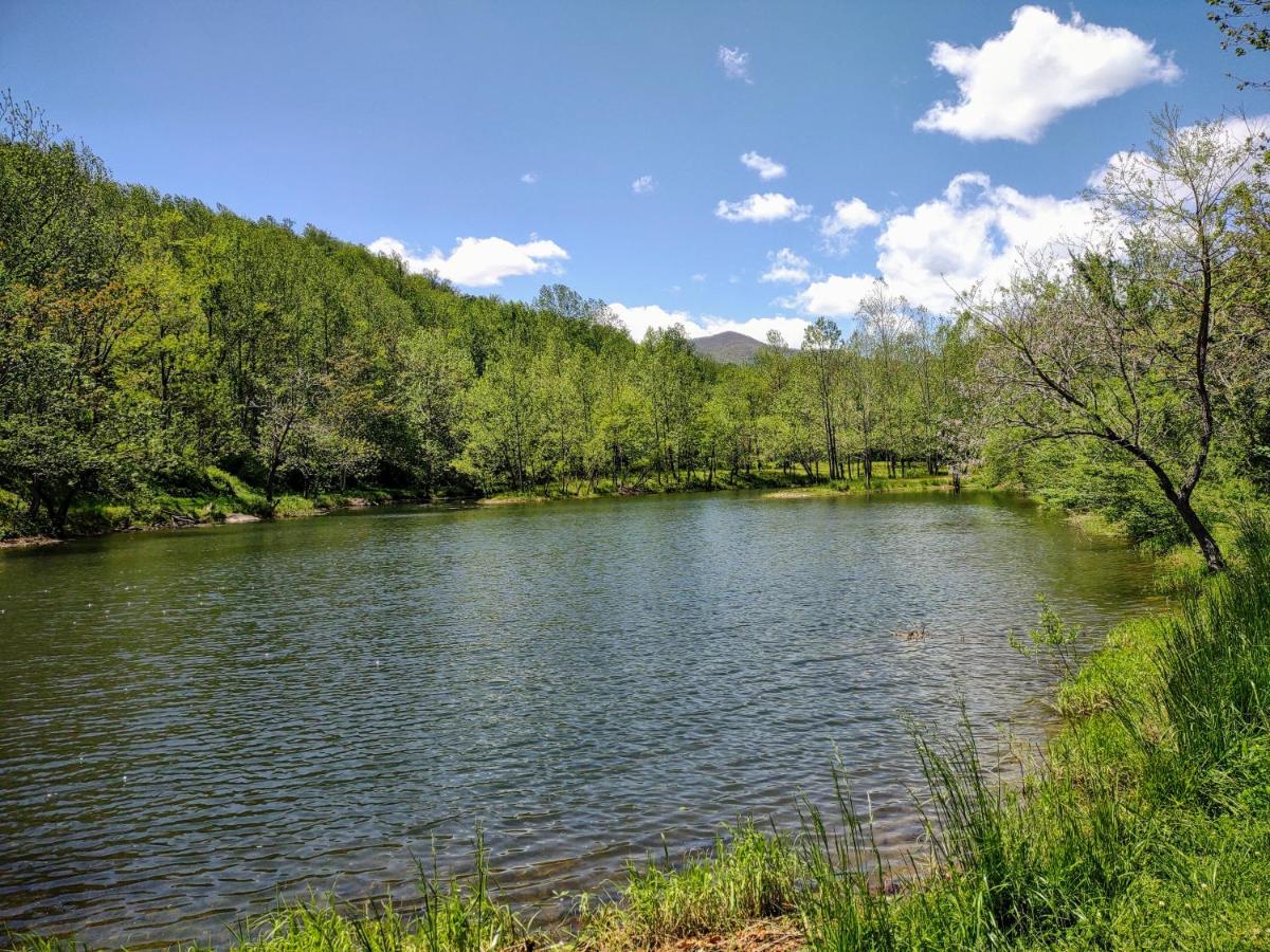 | Graves Mountain Farm & Lodges