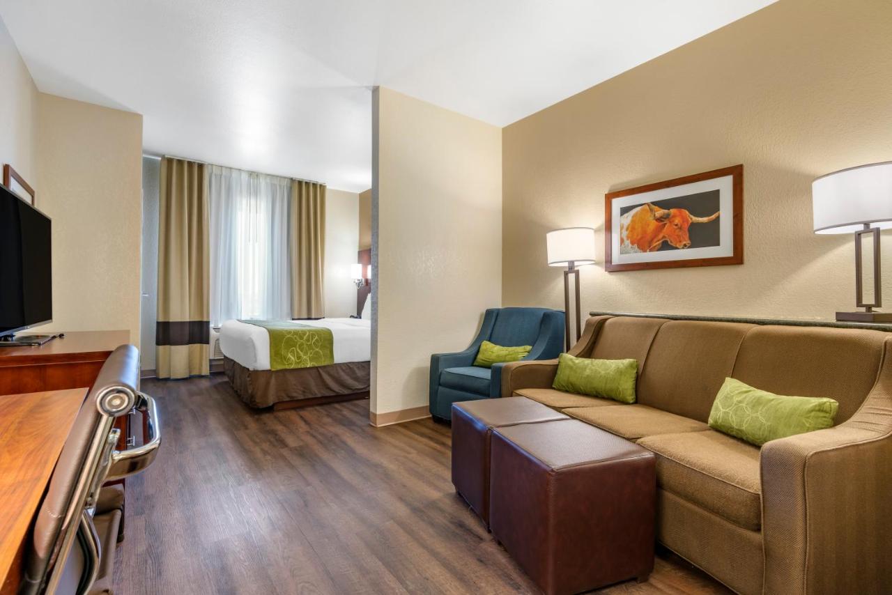 King Suite with Sofa Bed - Non-Smoking/Pet Friendly at Comfort Suites Fernley