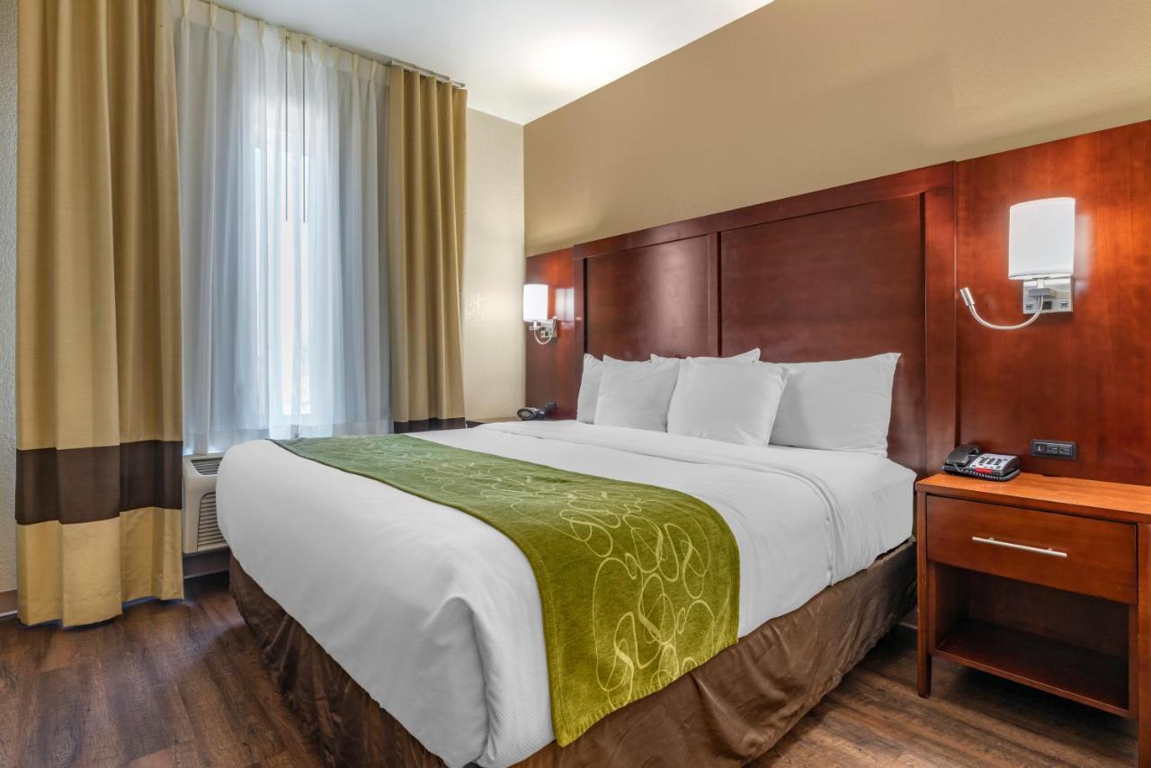 King Suite with Sofa Bed - Non-Smoking/Pet Friendly at Comfort Suites Fernley