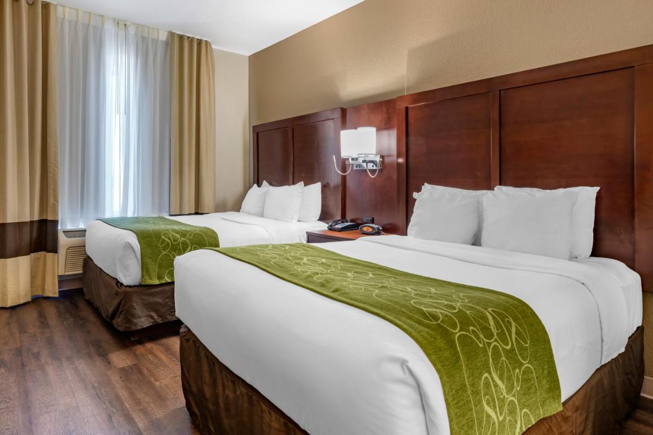 Suite - Non-Smoking/Pet Friendly at Comfort Suites Fernley