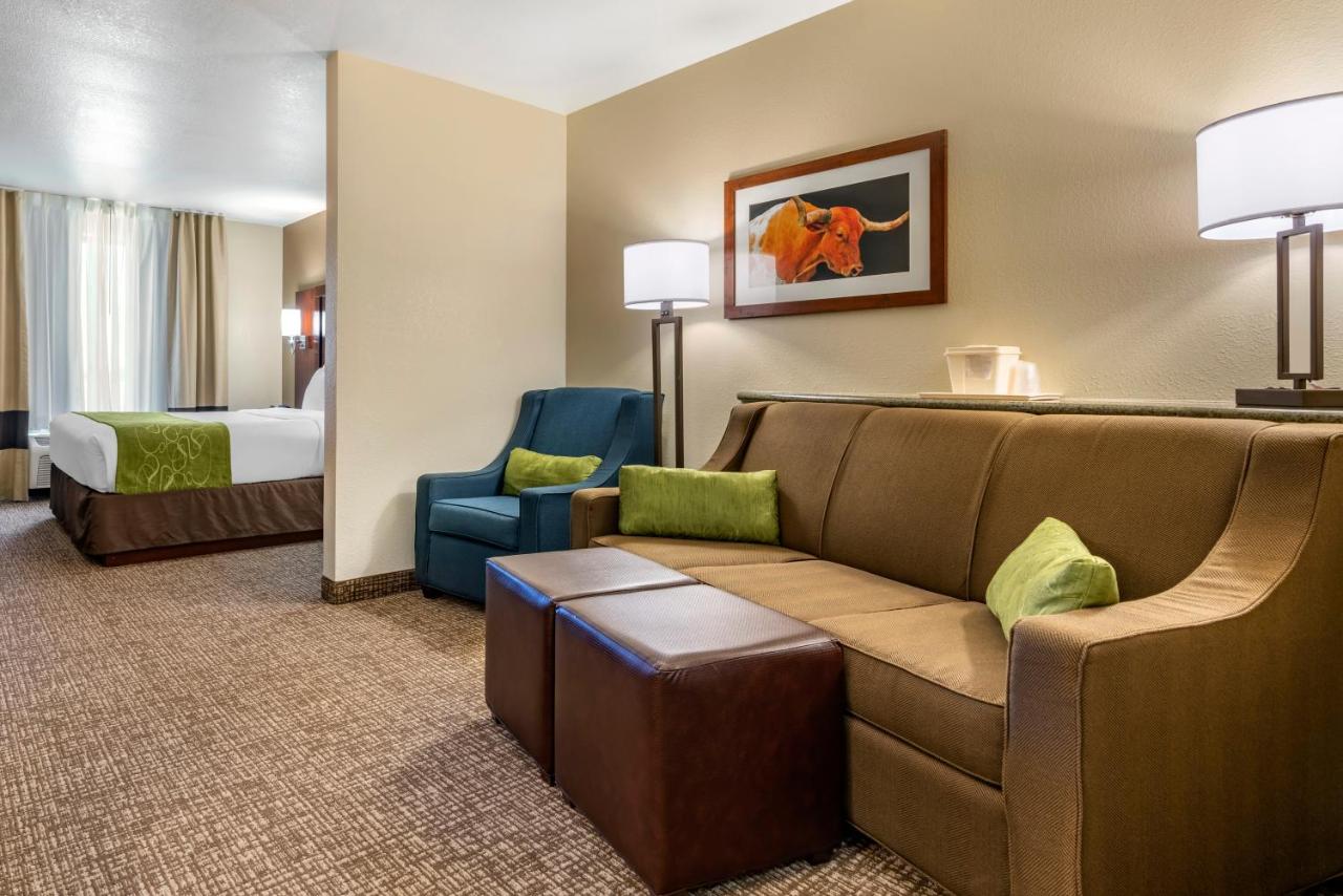 King Suite - Disability Access/Non-Smoking at Comfort Suites Fernley