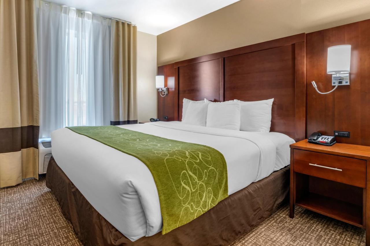 King Suite - Disability Access/Non-Smoking at Comfort Suites Fernley