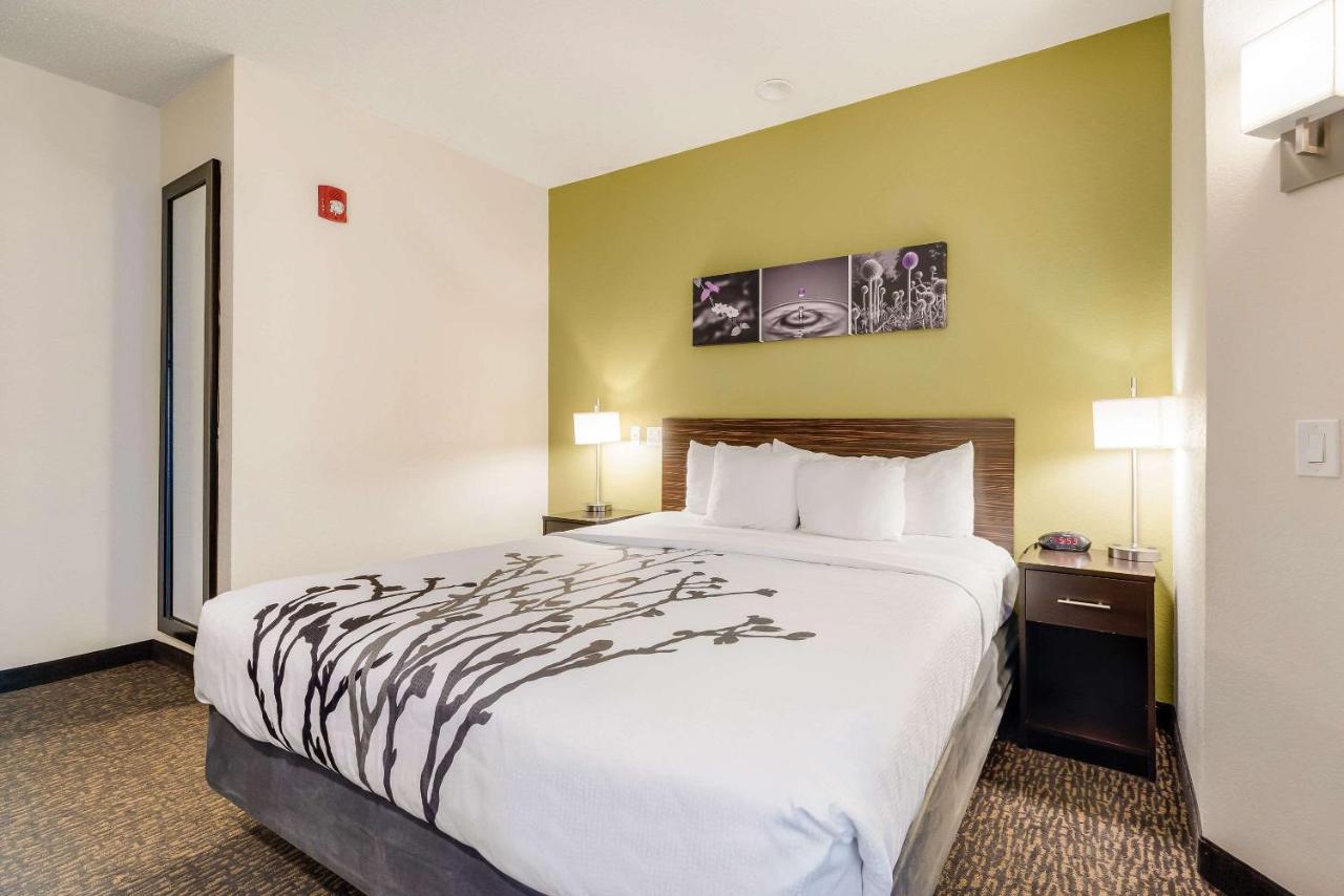 King Room First Floor - Accessible/Non-Smoking at Sleep Inn Flagstaff