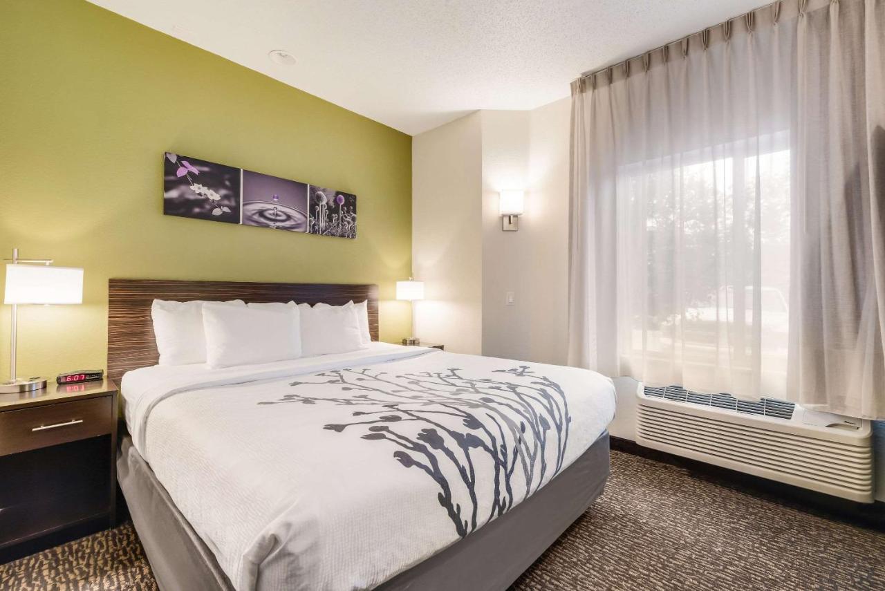 King Room at Sleep Inn Flagstaff