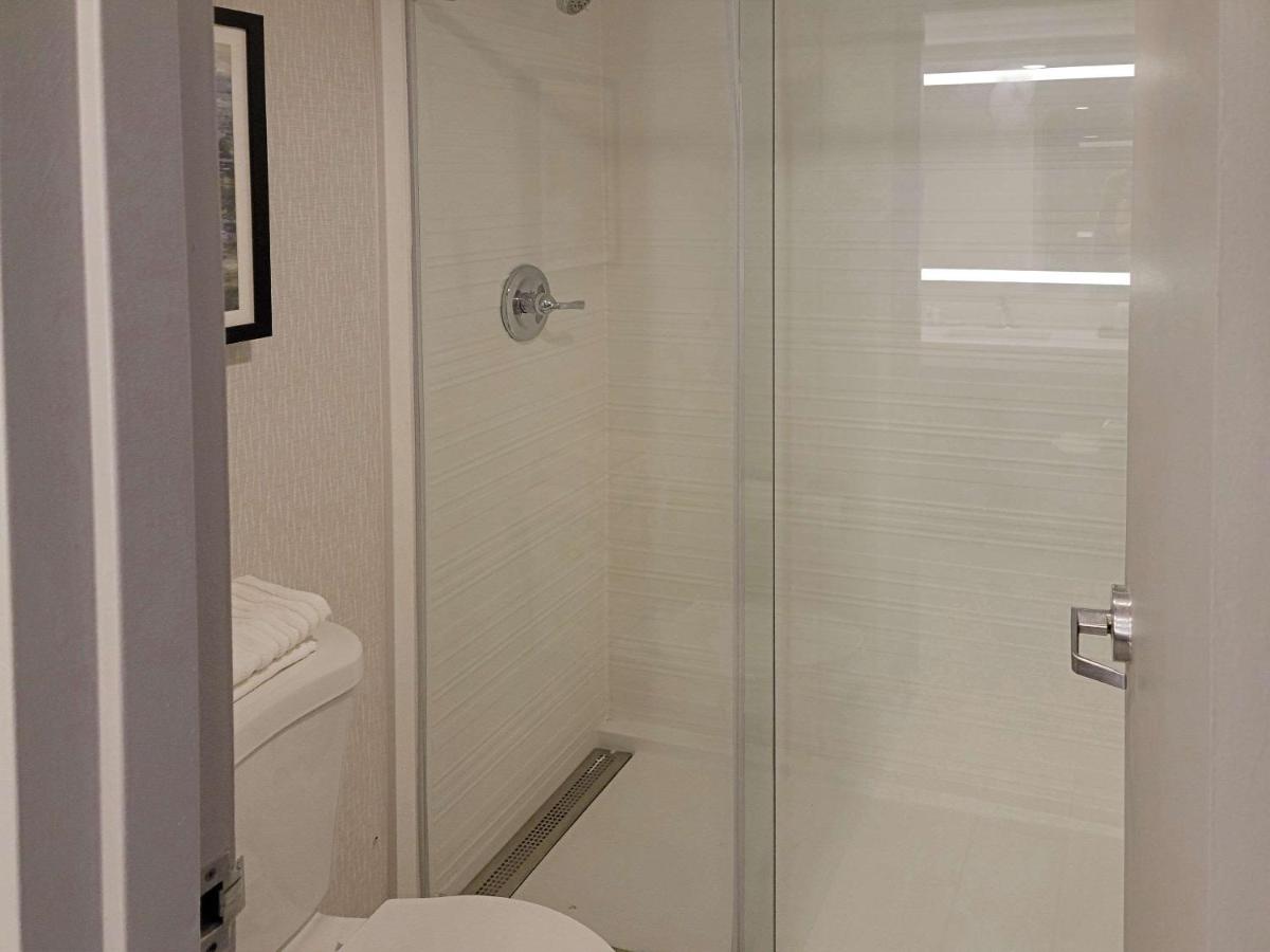 Standard King Room - Non-Smoking at Comfort Inn & Suites Wyomissing/Reading