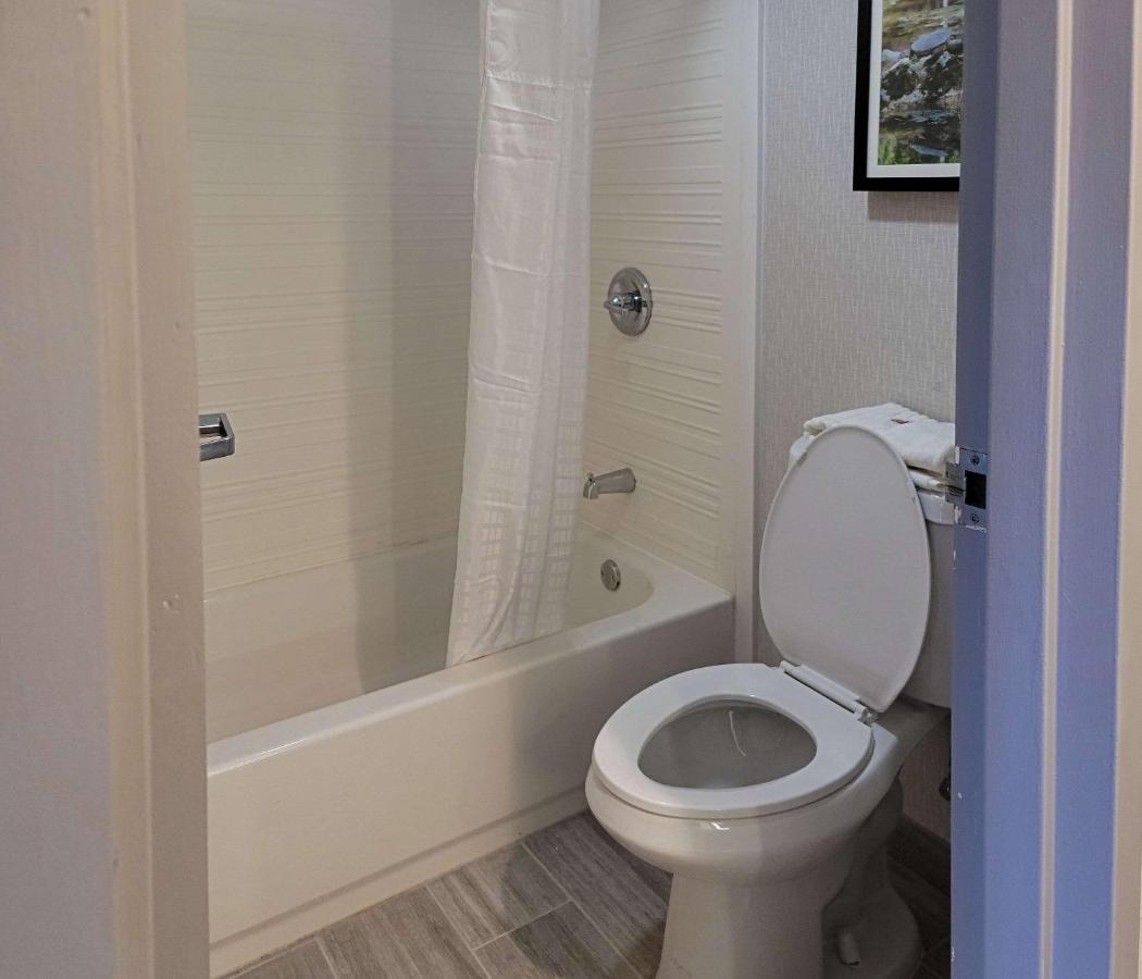 Standard King Room - Non-Smoking at Comfort Inn & Suites Wyomissing/Reading
