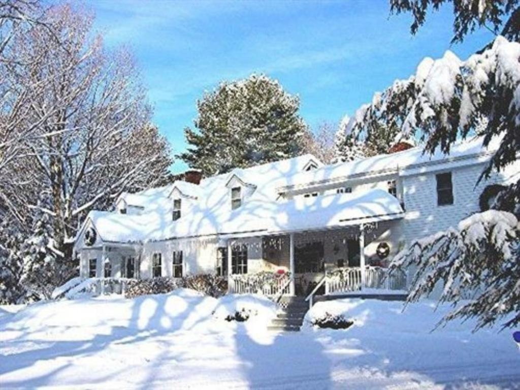 | Buttonwood Inn on Mount Surprise