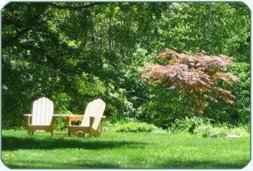 | Buttonwood Inn on Mount Surprise