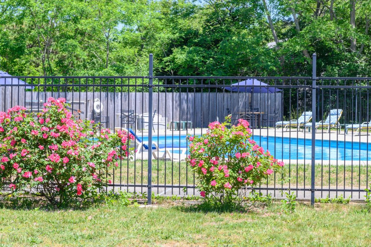 | Blue Dolphin Inn