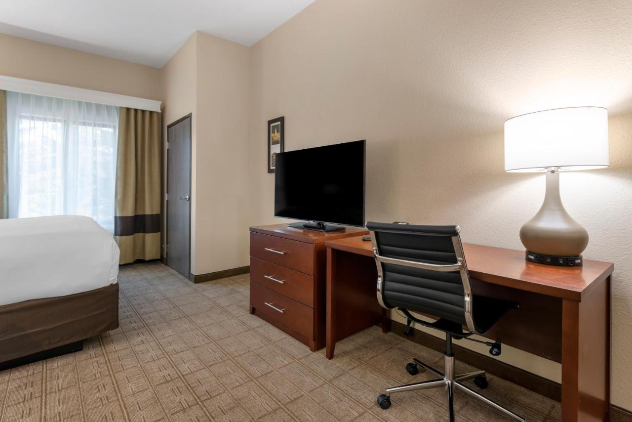 King Suite with Sofabed and Transfer Shower, Roll-In Shower - Accessible/Non Smoking at Comfort Inn & Suites Aztec - Farmington Area