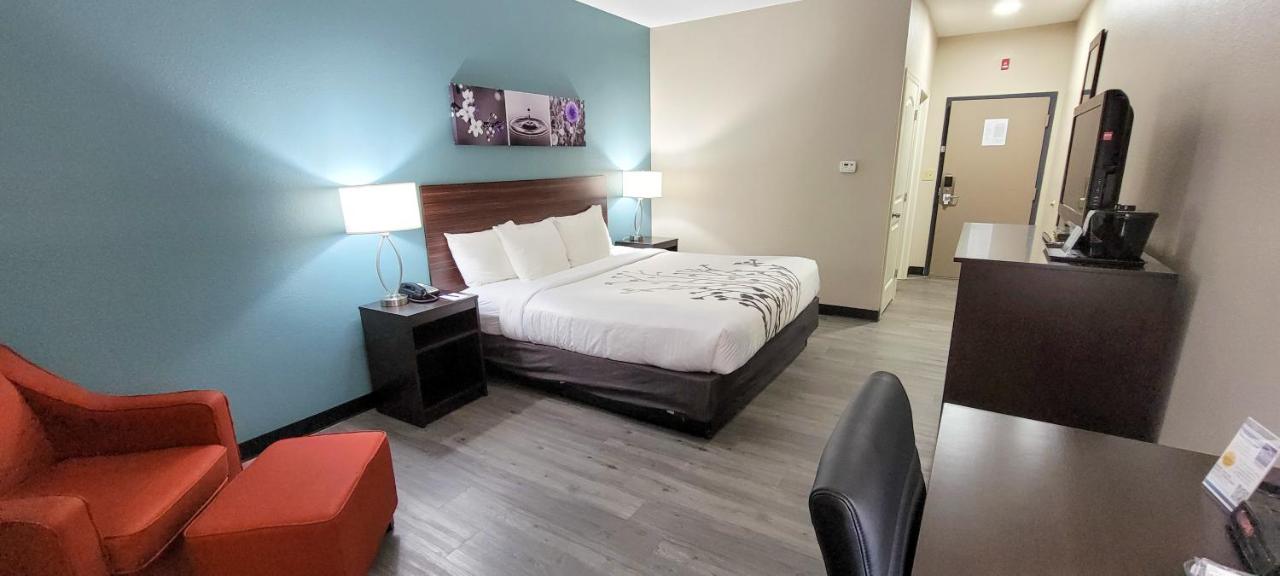 Standard King Room - Non Smoking at Sleep Inn & Suites Birmingham - Hoover