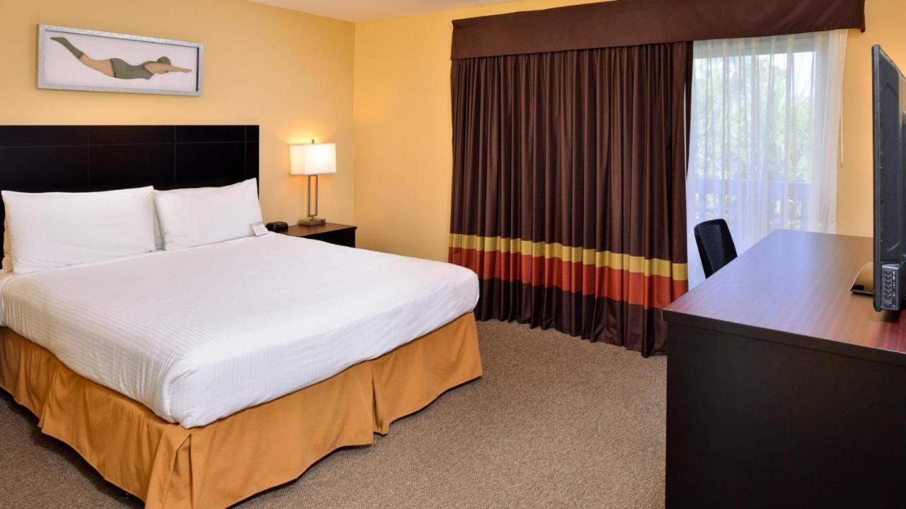 King Room with Roll-In Shower - Disability Access at Dana Point Marina Inn