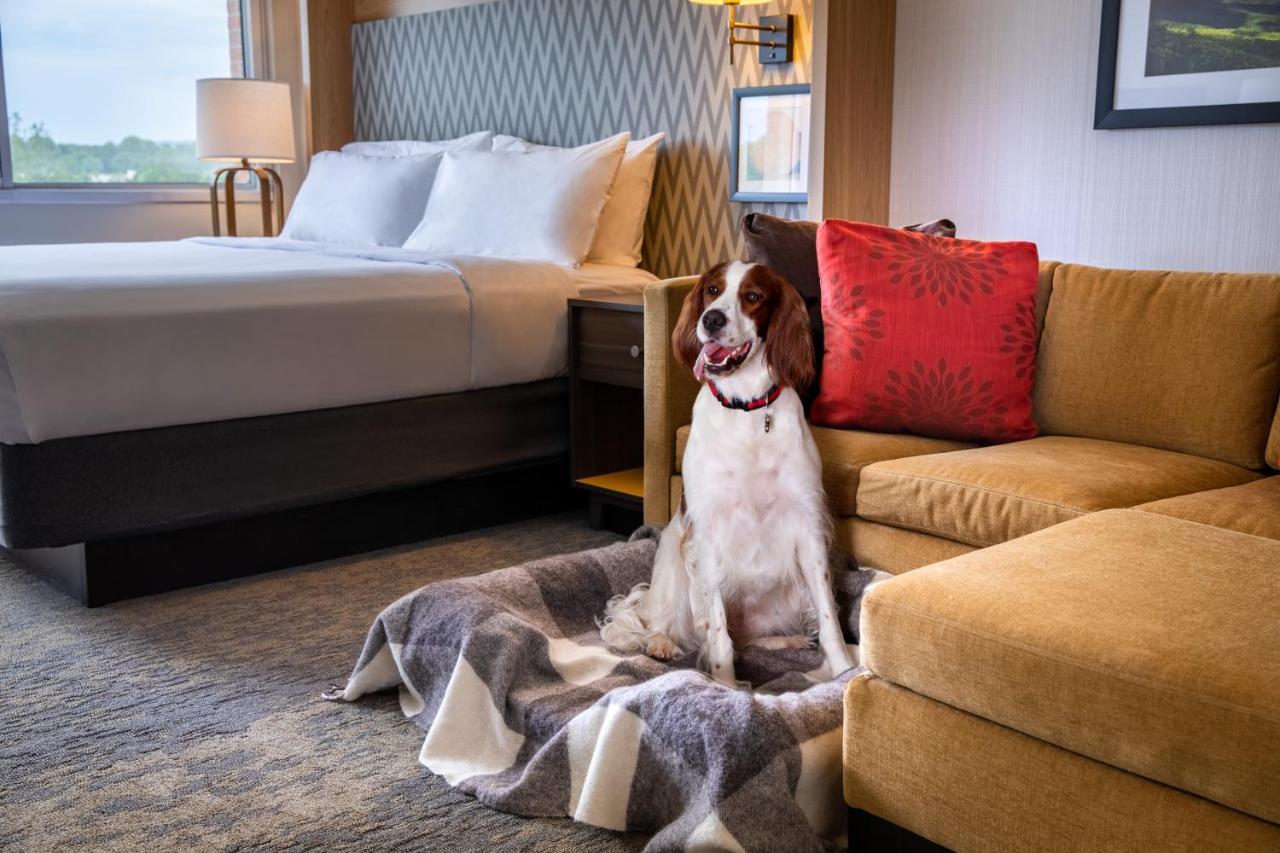 King Room at Holiday Inn Charlottesville-Monticello by IHG