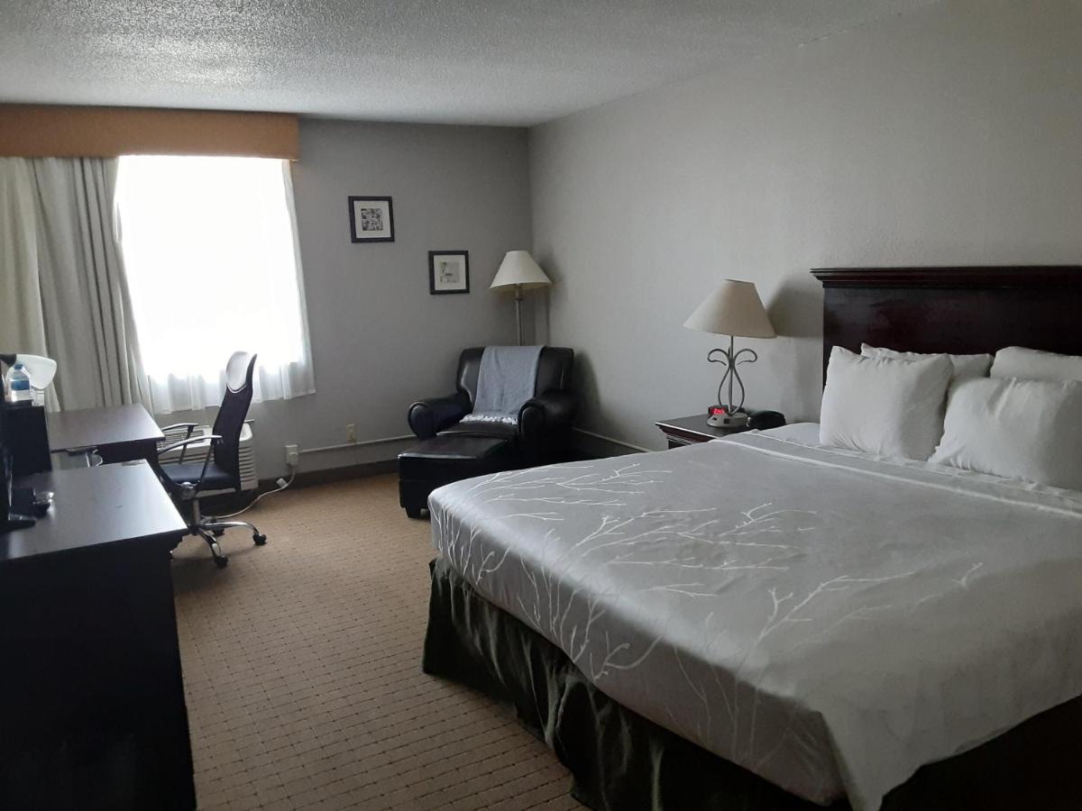 King Room at The Dakota