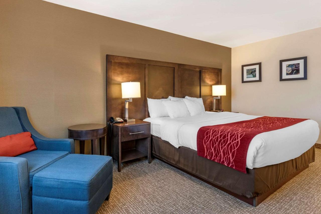 King Room at Comfort Inn Williamsport