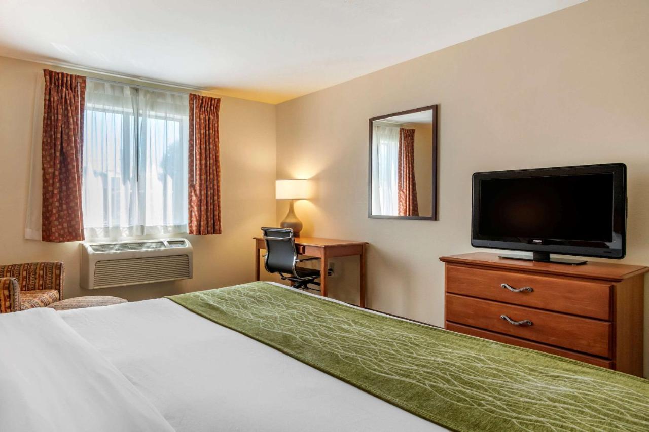 King Room with Roll-In Shower - Accessible/Non-Smoking at Comfort Inn Williamsport