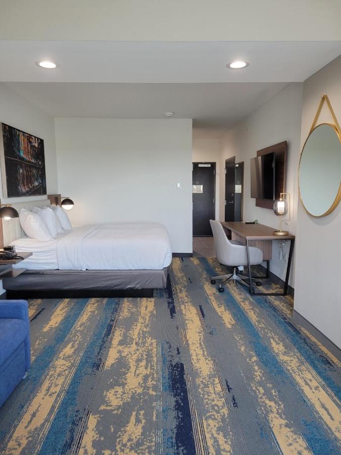 Executive King Room - Non-Smoking at La Quinta Inn & Suites by Wyndham Terrell