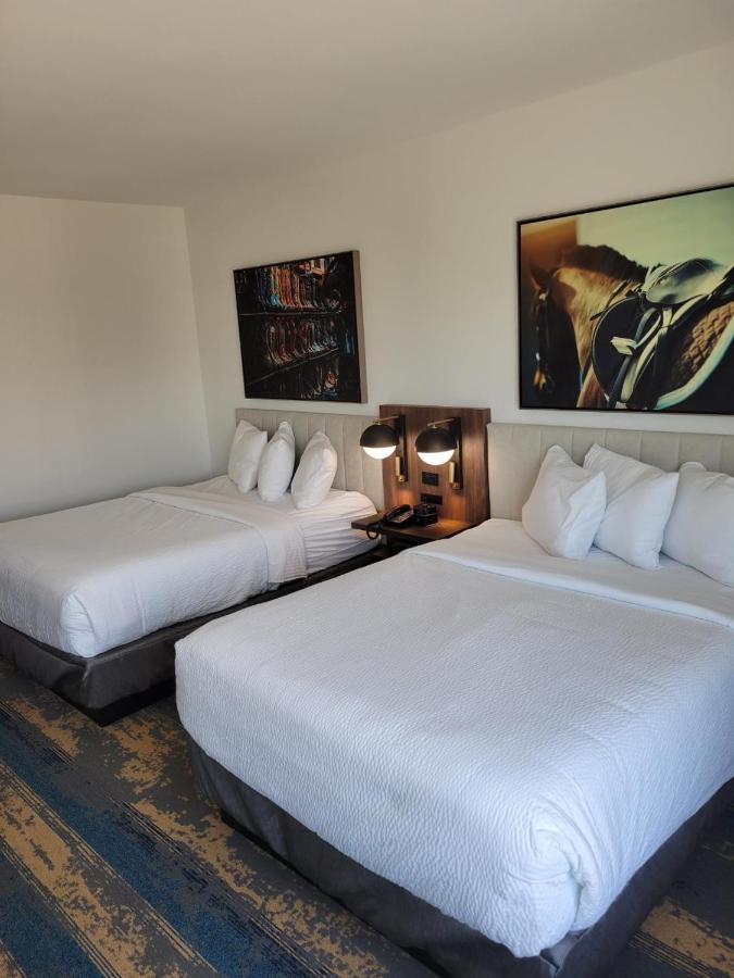 Queen Room with Two Queen Beds - Non-Smoking at La Quinta Inn & Suites by Wyndham Terrell
