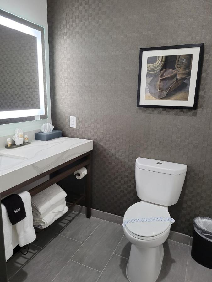 Executive King Room - Mobility Access/Non-Smoking at La Quinta Inn & Suites by Wyndham Terrell