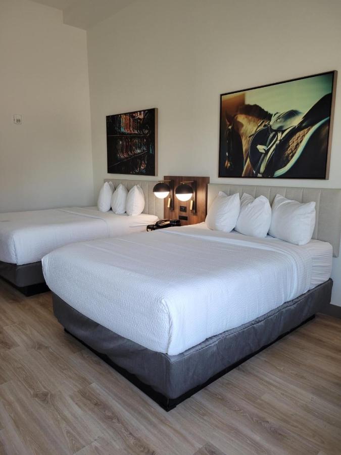 Queen Room with Two Queen Beds and Mobility/Hearing Access - Non-Smoking at La Quinta Inn & Suites by Wyndham Terrell