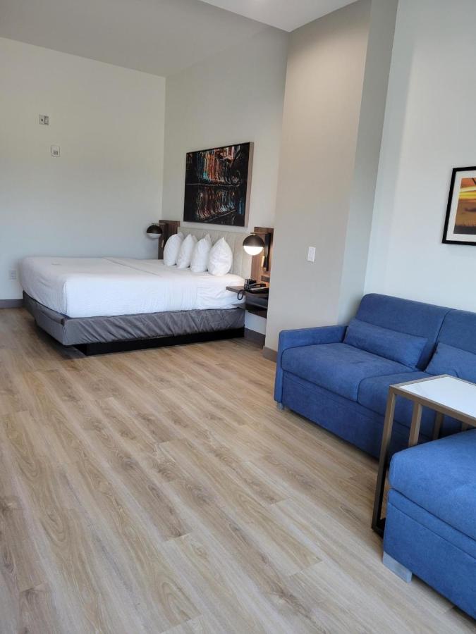 Executive King Room with Mobility/Hearing Impaired Access - Non-Smoking at La Quinta Inn & Suites by Wyndham Terrell
