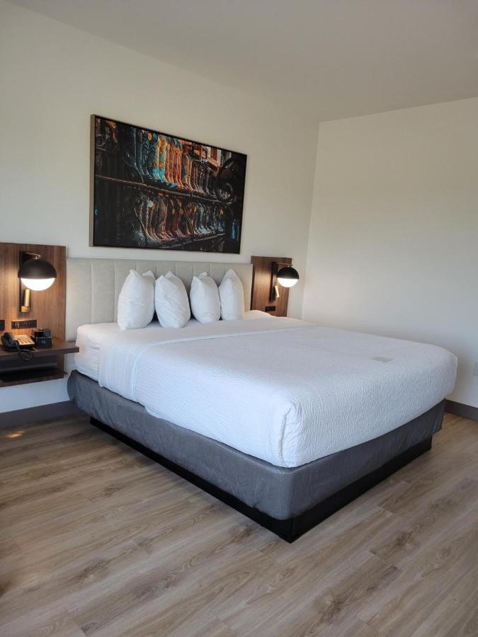 King Room - Non-Smoking at La Quinta Inn & Suites by Wyndham Terrell