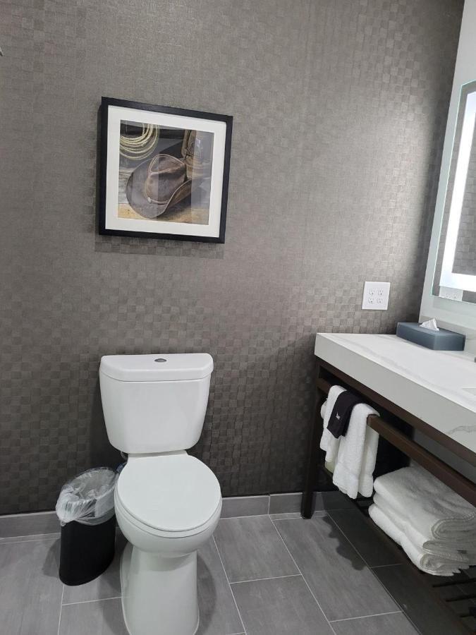King Room - Non-Smoking at La Quinta Inn & Suites by Wyndham Terrell