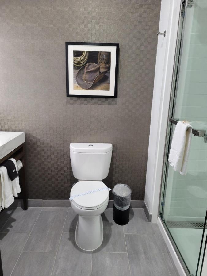 Executive King Room - Mobility Access/Non-Smoking at La Quinta Inn & Suites by Wyndham Terrell