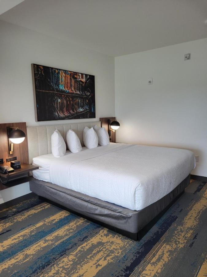 King Room with Mobility/Hearing Impaired Access - Non-Smoking at La Quinta Inn & Suites by Wyndham Terrell
