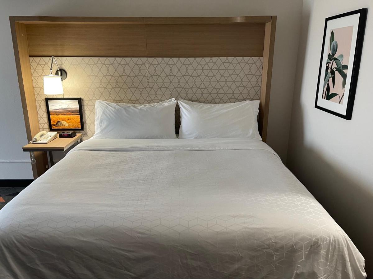 Standard Room at Holiday Inn Great Falls- Convention Center, an IHG Hotel