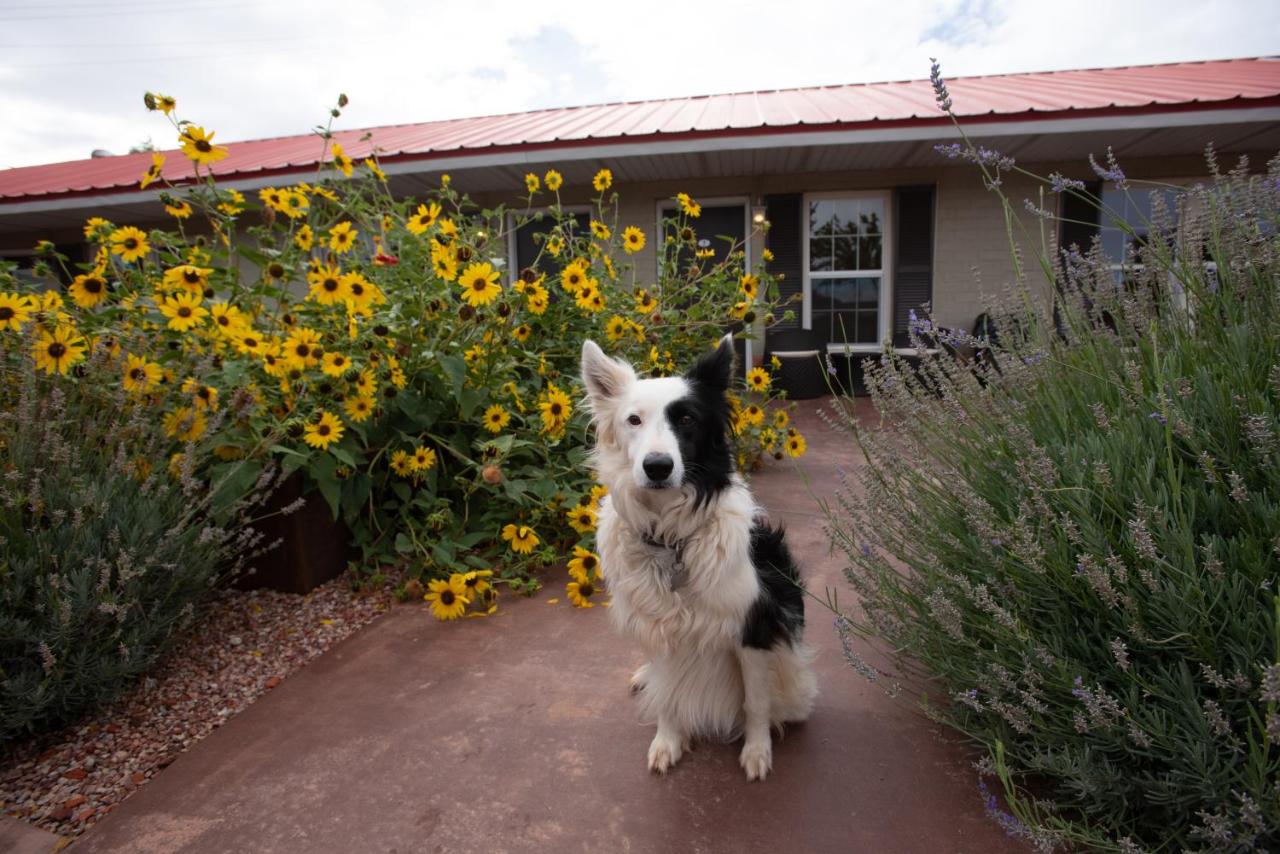 | The Flagstone Boutique Inn & Suites