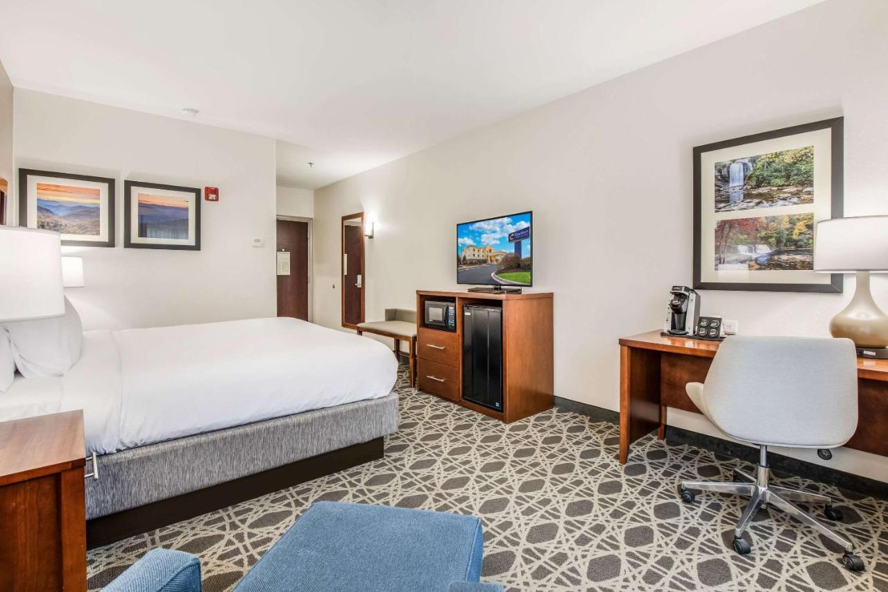Standard King Room - Non Smoking at Comfort Inn & Suites Brevard North