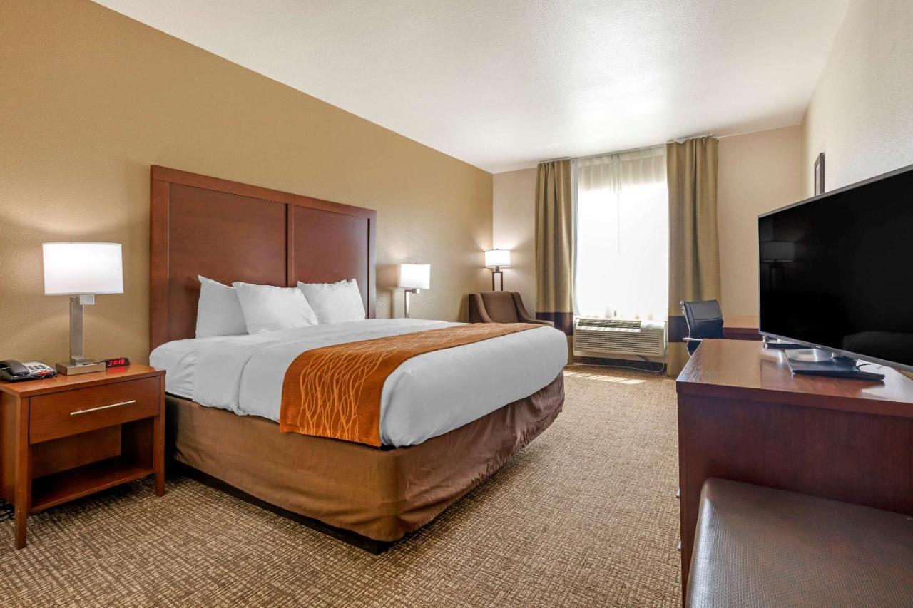 King Room Pet Friendly - Accessible/Non-Smoking at Comfort Inn Near UNT