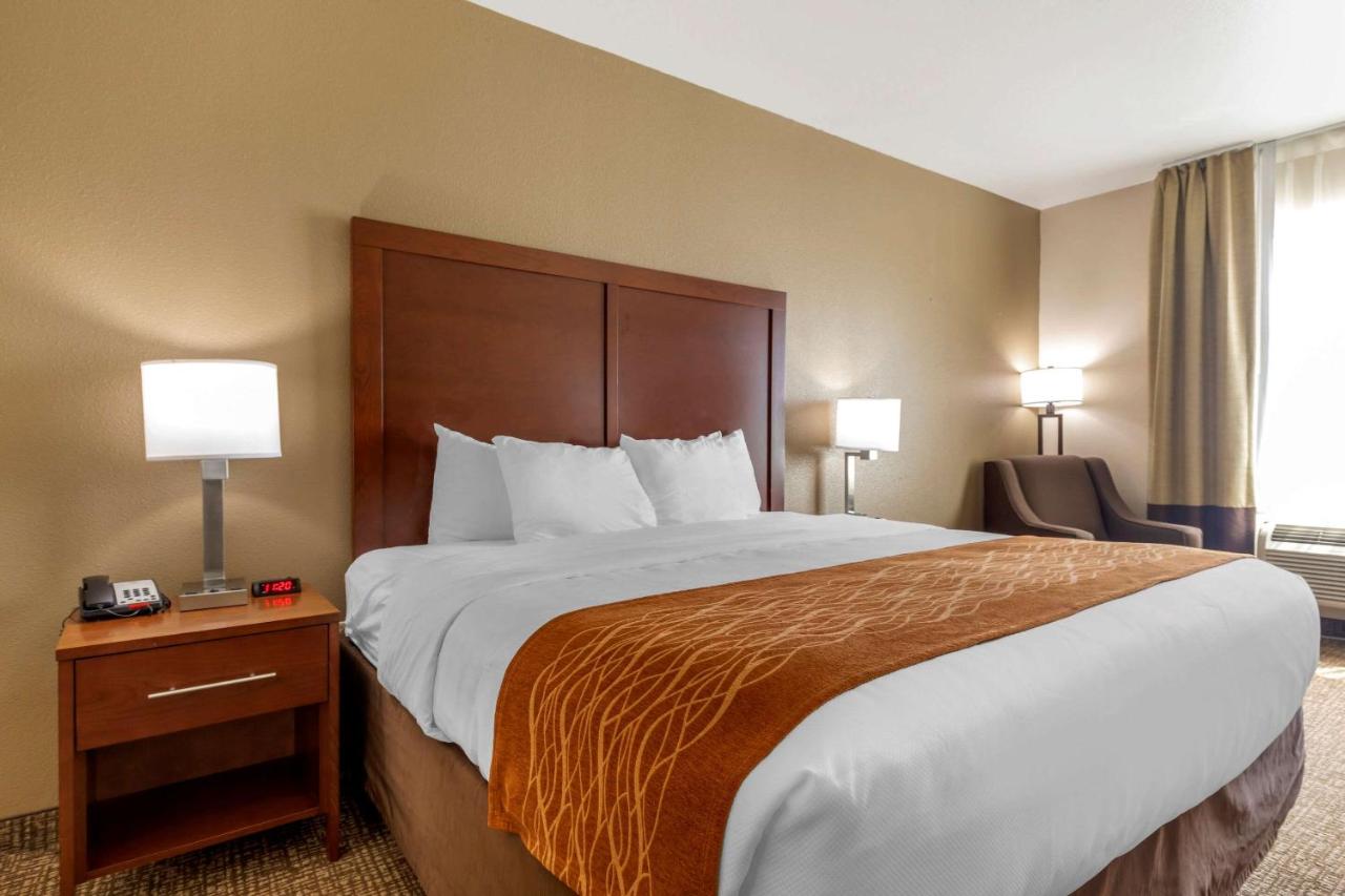 King Room Pet Friendly - Accessible/Non-Smoking at Comfort Inn Near UNT